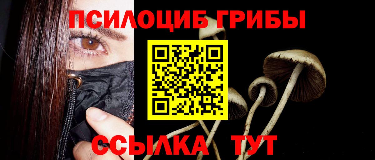Псилоцибиновые грибы GOLDEN TEACHER Воркута